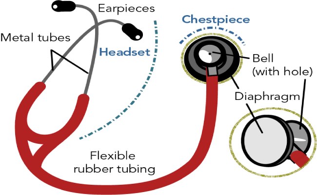 Stethoscope Diaphragm